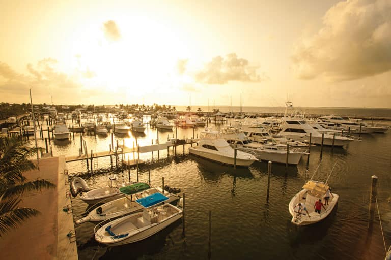 catamaran rentals in abacos