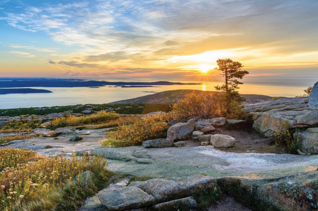 Bar Harbor