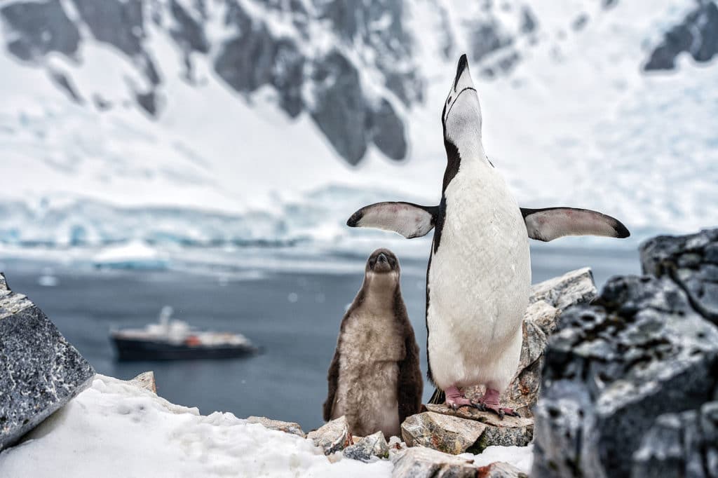 antarctica yachting charter