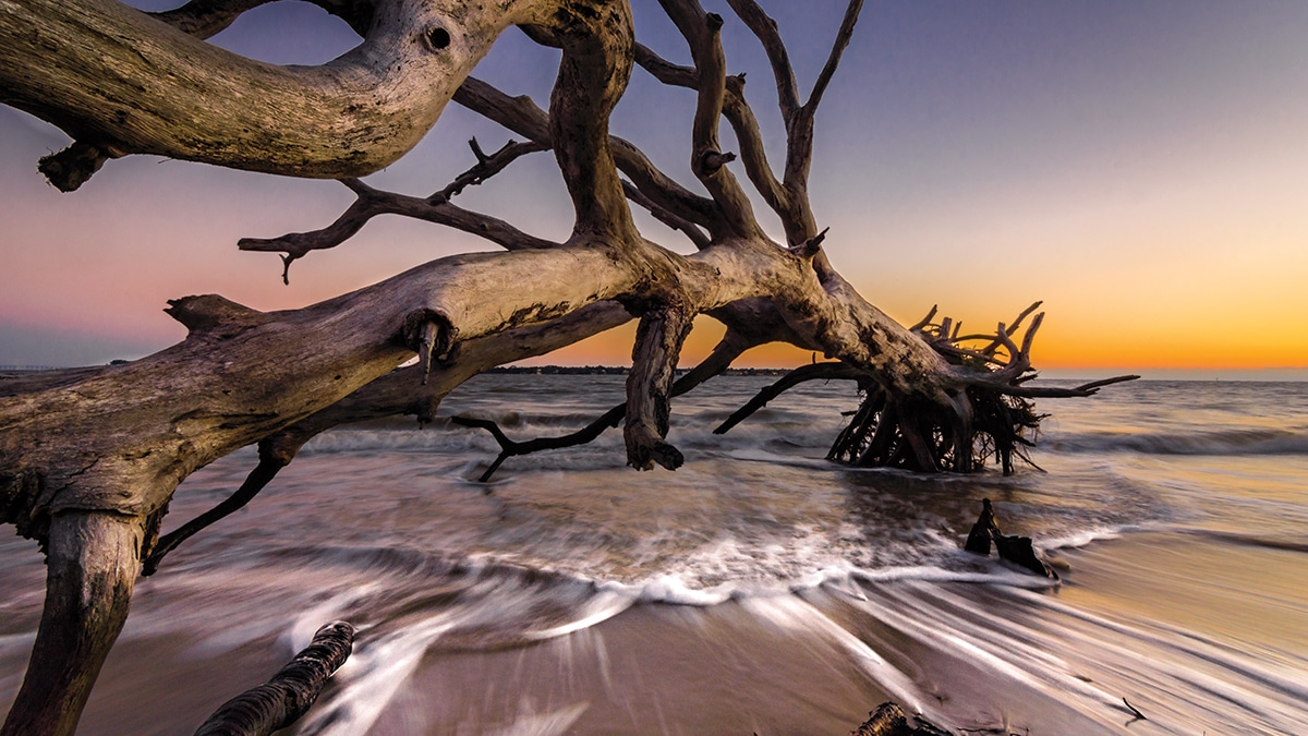 Discover the Golden Isles Barrier Islands off the Georgia Coast