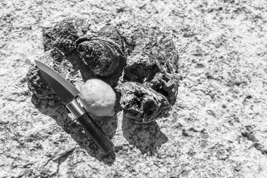 Oyster shell farm in Mali Ston